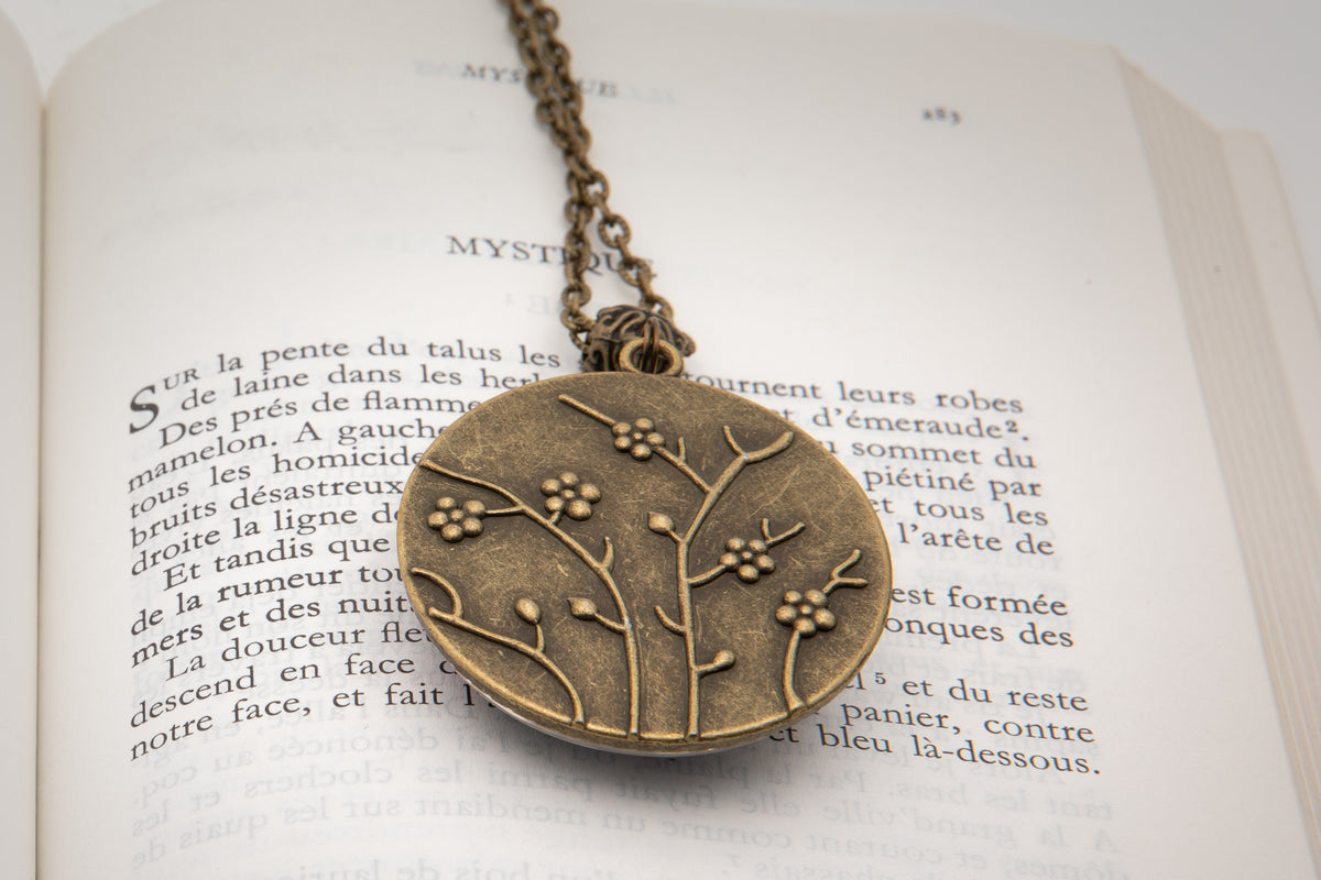 Collier bronze  Arthur RIMBAUD bijou littéraire Rose fond liberty cabochon Collection les illuminations poème "MYSTIQUE"